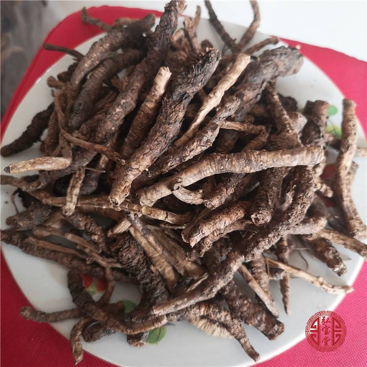 【胡黄连批发 胡黄连多少钱一公斤图片】胡黄连批发 胡黄连多少钱一公斤 - 亳州市谯城区祥刚中药材种植专业合作社